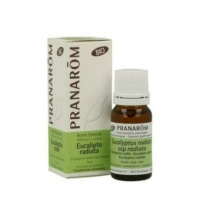 PRANAROM ACEITE ESENCIAL EUCALIPTO RADIATA BIO 10ML