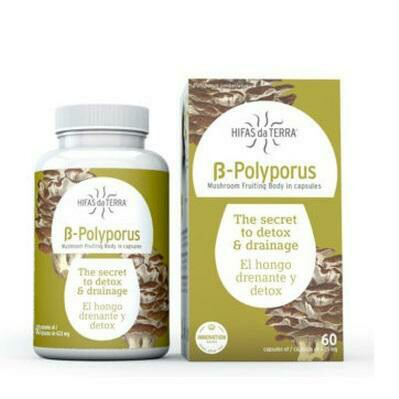 HIFAS DE TERRA B-POLYPORUS 60 CAPSULAS