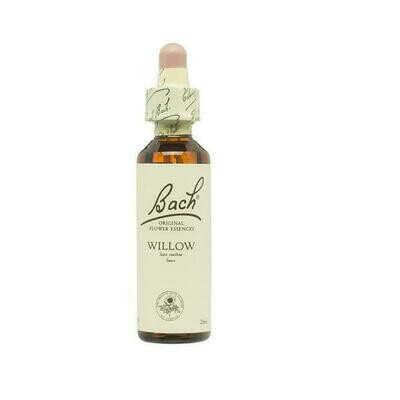 FLOR DE BACH WILLOW EXTRACTO 20 ML