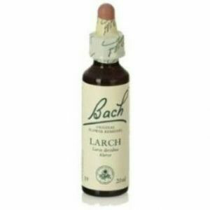 FLOR DE BACH LARCH EXTRACTO 20 ML