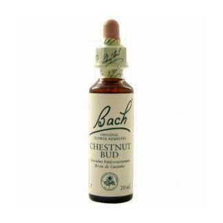 FLOR DE BACH CHESTNUT BUD EXTRACTO 20ML