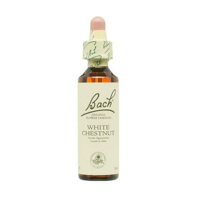 FLOR DE BACH WHITE CHESTNUT EXTRACTO 20 ML