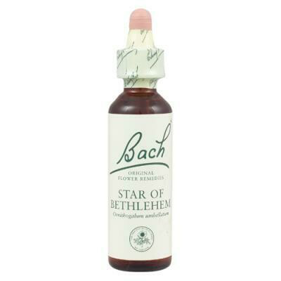 FLORES DE BACK STAR OF BETHLEHEM 20 ML GOTAS