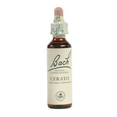 FLOR DE BACH  CERATO EXTRACTO 20 ML