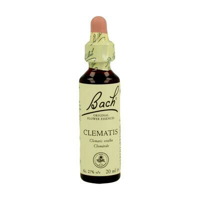 FLOR DE BACH CLEMATIS EXTRACTO 20ML