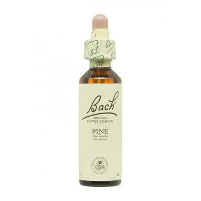 FLOR DE BACH PINE EXTRACTO 20ML