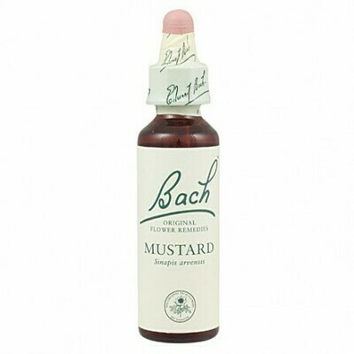 FLOR DE BACH  MUSTARD EXTRACTO 20 ML