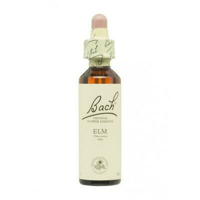 FLOR DE BACH ELM EXTRACTO 20 ML