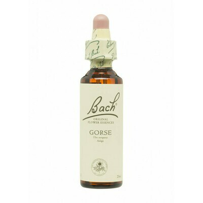 FLOR DE BACH GORSE EXTRACTO 20ML