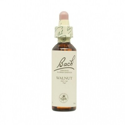 FLOR DE BACH WALNUT EXTRACTO 20ML