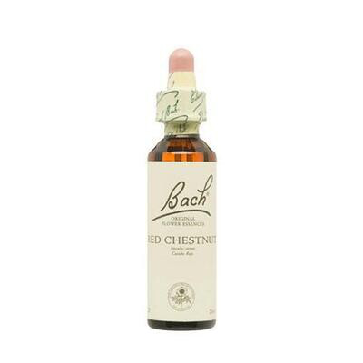 F.B. CASTAÑO ROJO (RED CHESTNUT) 25 EXT.20 ML