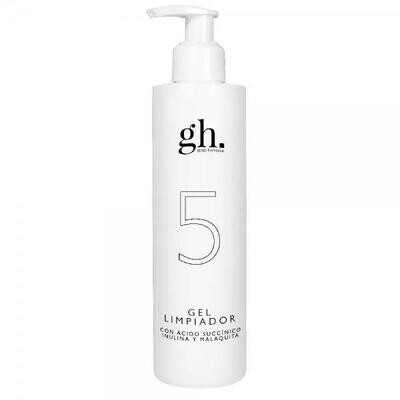 GH 5 GEL LIMPIADOR 250 ML