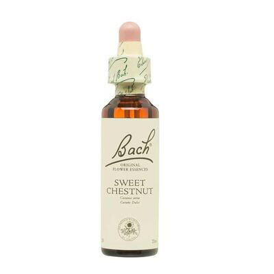 F.B. SWEET CHESTNUT 30 20 ML