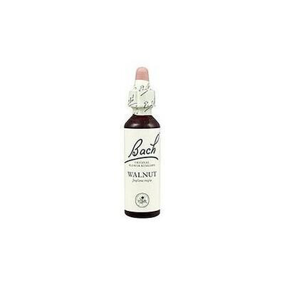 F.B. WALNUT 33 20 ML