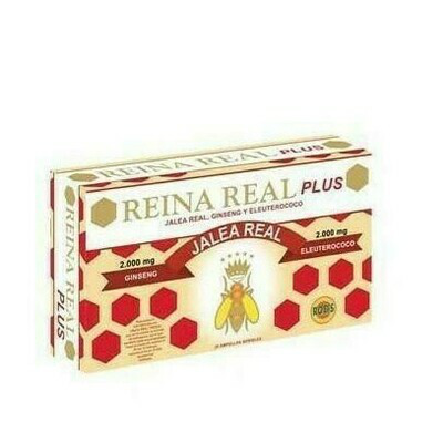 REINA REAL PLUS 20 AMP