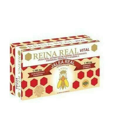 REINA REAL VITAL (30 AMP)