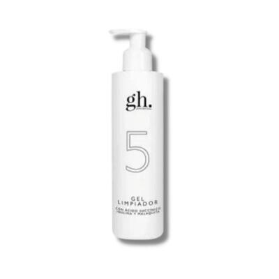 GH GEL LIMPIADOR 5