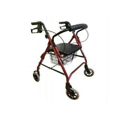 ANDADOR ROLLATOR PREMIUM PUSH A500